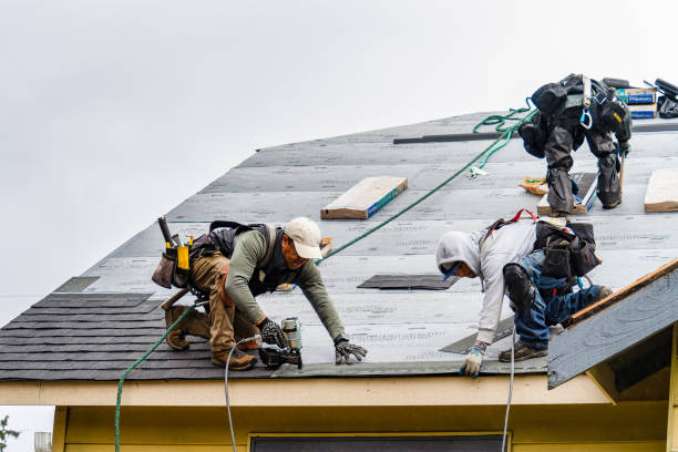 Professional Storm Damage Roof Repair technician working in Franktown, CO